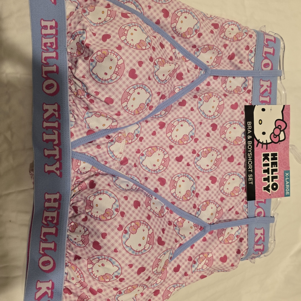 Hello Kitty Pink and Blue Kids Underwear Set
